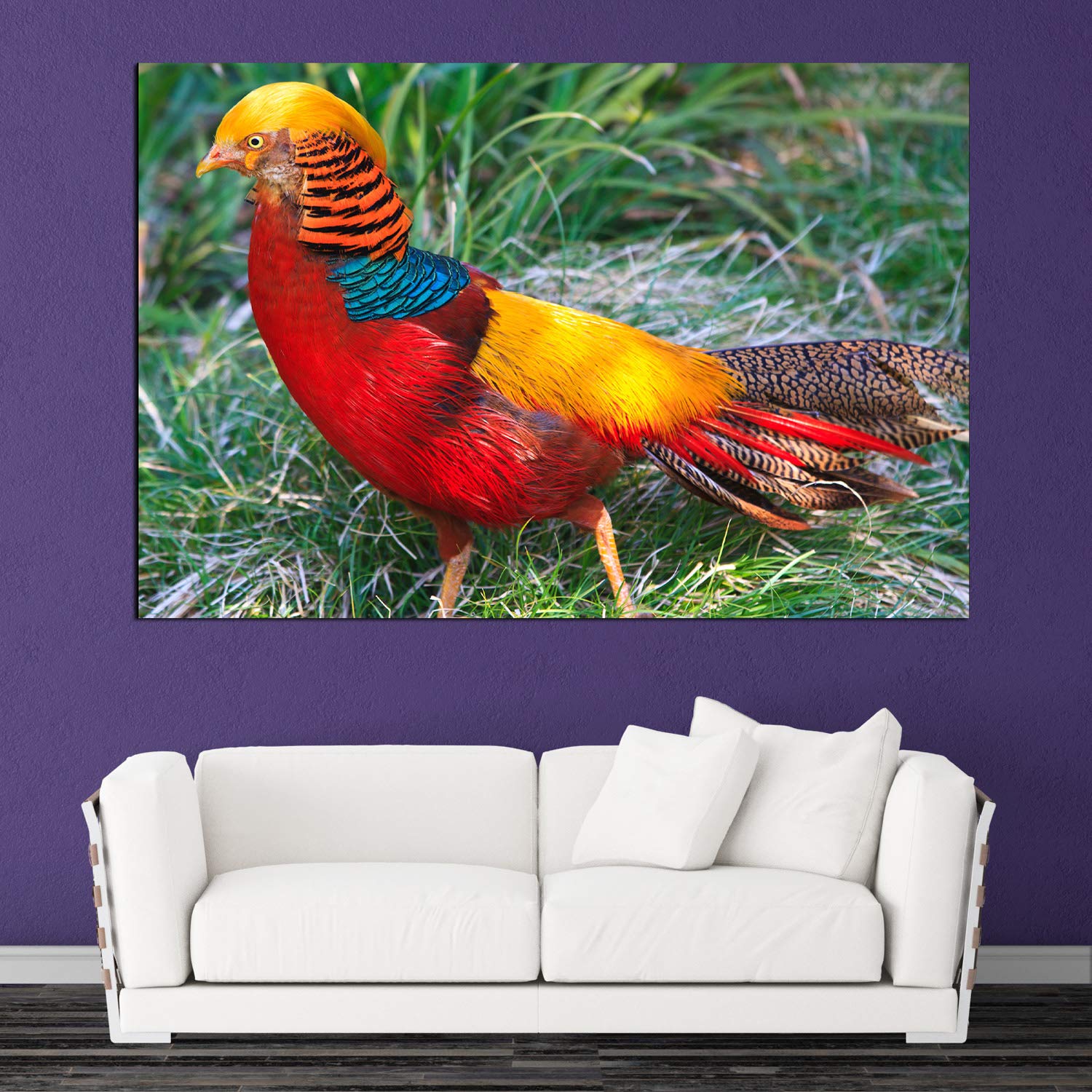 inep-b083y4wc42-close-up-of-pheasant-tastic-golden-bird-unframed-animals-wall-art-showcasing-shimmering-gold-feathers-on-canvas..jpeg